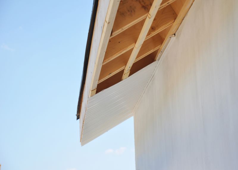 Roof Fascia Repair