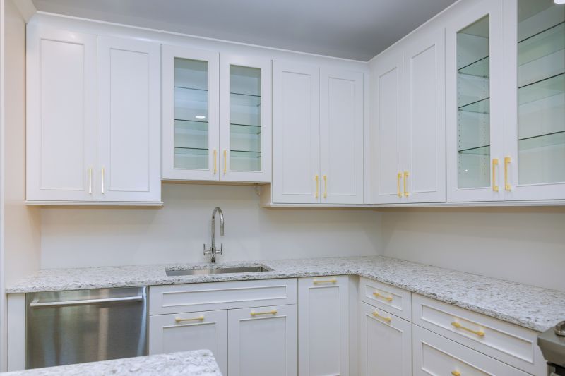 Kitchen Storage Replacement in Indianapolis, IN