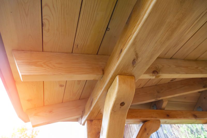 Porch Ceiling Replacement in Conroe, TX